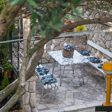 Frano Dubrovnik